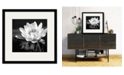 Courtside Market Waterlily Flower I 16" x 16" Framed and Matted Art